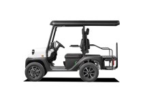 Modell N.30 P4 4-Sitzer - 43 km/h - Bild 2